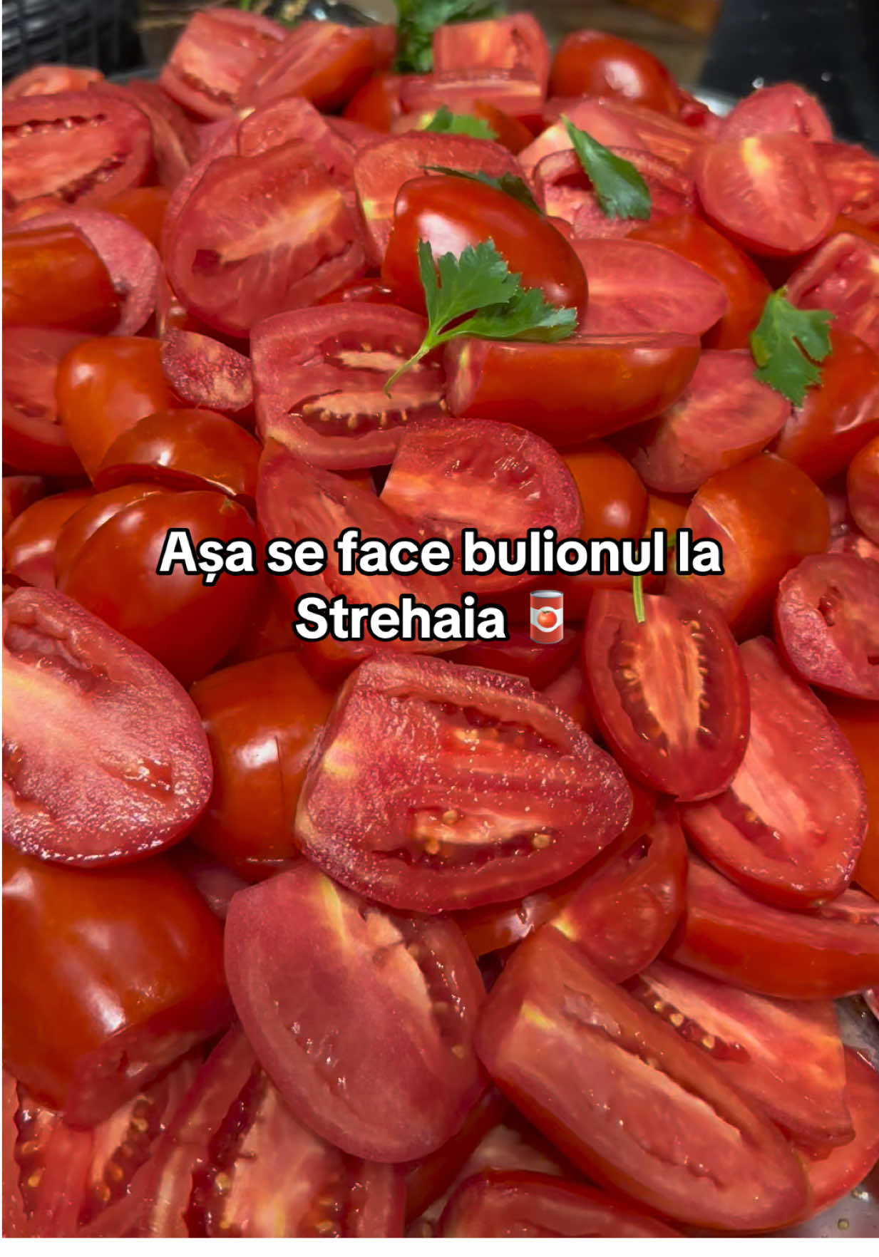 #patroanadelastrehaia #ancadelastrehaia #mihaelatache #leodelastrehaia #alindelastrehaia 