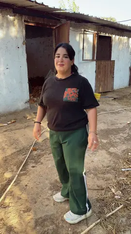 #LIVEIncentiveProgram #LIVEwithlowfollowers #PaidPartnership  #viral #viralvideo 