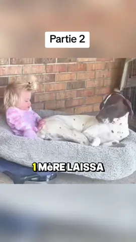 #chien #mère #suspense #drame #mystère 