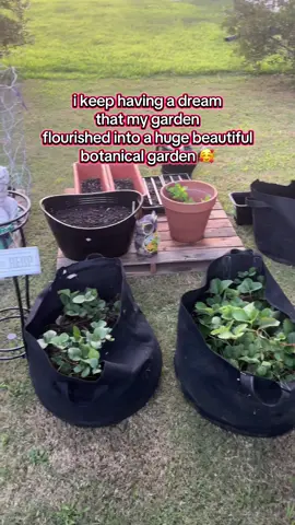cravvin.com ✨ As a beginner gardener, I’ve made it my point to Learn As I Grow. & It’s a daily mantra and a new mindset that I remind myself every time I come outside to take care of my garden. I’ll sit and reflect on the week’s progress at home, work, myself & gardening. 🌎 ⭐️ Gardening has taught me a new message in life - to be patient, keep learning, keep growing. If I want something in life, I have to hold onto to it, water and nurture it, take care of it, learn how to love it and watch it all grow in front of my eyes. Thank you heavenly father for teaching me how to grow a garden and truly experience my life growing right in front of me. 🙏🏽 ♥️ #beginnerGardener #LoveLife #LoveYouCorrectly 