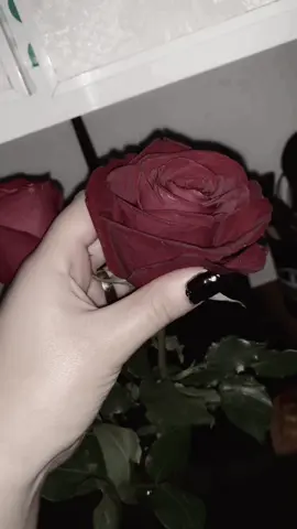 🥲🥲💔💔🖤🖤🥀🥀