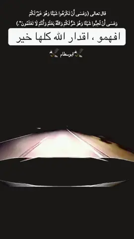 #fyp #foryou #foryoupage  #🦅ابوسطام🦅 #fypシ 