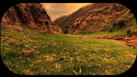 إني أخاف الله | #الشيخ_عبدالباسط_عبدالصمد #قران_كريم #اجر_لي_ولكم_ولوالدينا_وللمسلمين #صدقه_جاريه_لجميع_اموات_المسلمين 