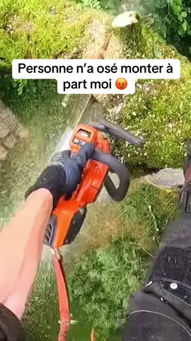 un démontage des moins perilleux 🤯  #bucheron #arbre #metier 