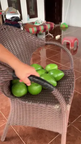 Avocado booster #pupukalpukat #avocadobooster #pupukbuah #alpukat #buahalpukat 