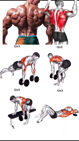 Every pull, every row, every rep builds more than muscles it builds discipline 💪 🏋‍♀️ #Ironmuscle #fyp #BackDay #PullDay #FitnessJourney 