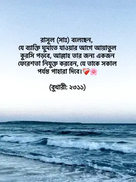রাসূল (সাঃ) বলেছেন,  যে ব্যাক্তি ঘুমাতে যাওয়ার আগে আয়াতুল কুরসি পড়বে, আল্লাহ তার জন্য একজন ফেরেশতা নিযুক্ত করবেন, যে তাকে সকাল পর্যন্ত পাহারা দিবে।❤️‍🩹🌸 (বুখারী: ২৩১১) #foryoupage #foryou #fypage #goviral #tranding @TikTok Bangladesh 