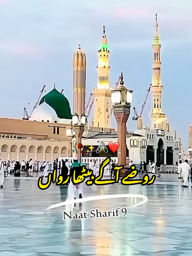 Shoniya Dar Tay Tera Ainda Rawan Naat Sharif 🥀✨🖇️❤️#naat #naatsharif #naatstatus #allah #muhammad #islamic #islamic_video #fyp #viral #videoviral #plztiktok #plztiktokteemviralvideo #plztiktokunfrezmyaccount #plzunfrez #unfrez #foryou #foryoupag 
