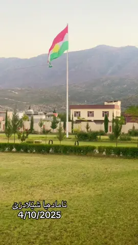 ### ئامادەیا شێلادزێ