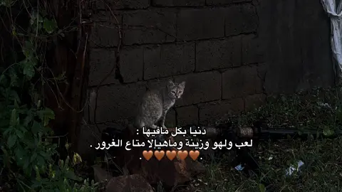 وماهيإلا متاع الغرور🤍  .                                      #fyp #وما_حياة_الدنيا_الامتاع_الغرور #ابراهيم_محمد 