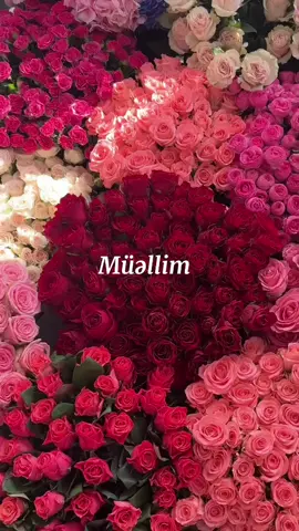 Günümüz mübarək əziz müəllimlər❤️! #müəllim #müəllimlərgünü #müəllimlər #5oktyabrmüəllimlərgünü #riyaziyyatmüəllimi 
