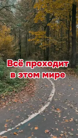 Всё проходит в этом мире, снег сменяется дождьём #мотивация #силанадвигаться #сдесьисейчас #мудрые слова  Не завтра, не «когда придёт вдохновение», не «с понедельника». Прямо сейчас — лучшее время, чтобы начать. Потому что идеального момента не будет. Он — уже здесь. Всё проходит. Снег сменяется дождём, радость — грустью, начало — концом. Мы приходим, уходим, оставляя следы — в словах, взглядах, поступках, боли и смехе. Жизнь не даёт второго дубля. Роль сыграна один раз — и ты сам выбираешь, будет ли это драма, комедия или вдохновляющая история. Каждый из нас выбирает: во что верить, кого любить, по какой дороге идти. Кто-то — к свету, кто-то — во тьму. Кто-то — к себе. Главное — не стоять. Пока думаешь, жизнь уже пошла дальше. Так что — живи. Ошибайся. Люби. Плачь. Смейся. И действуй. Пока есть дыхание — есть шанс всё изменить. ✍🏻 Авторская переработка для проекта «Живи СЕЙЧАС» Место, где слова возвращают веру, а душа — силу.