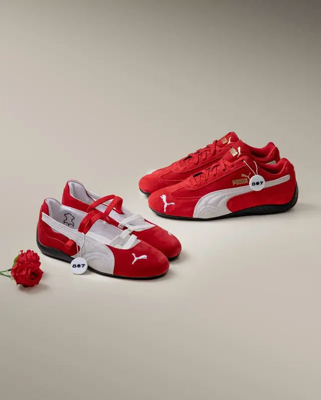 #puma #pumaspeedcat 