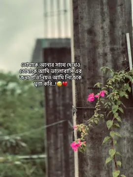 তোমাকে অন্যের সাথে দেখেও তোমাকে আমি ভালোবাসি এর জন্য প্রতিনিয়ত আমি নিজেকে ঘৃণা করি 😅💔#obak_valobasa_e #fypシ #captionvideo #tiktokofficialbangladesh #sadcaption 