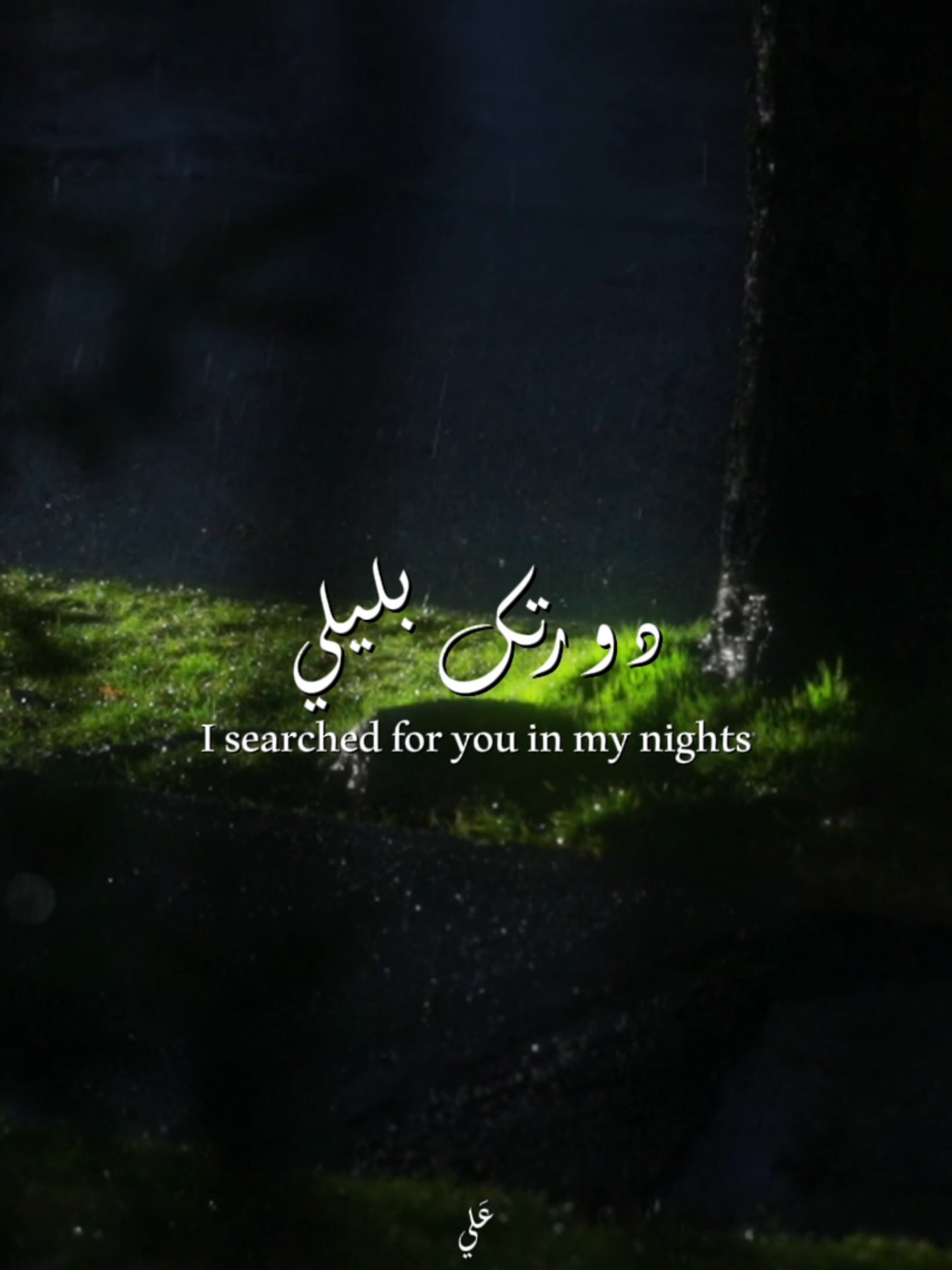 تِدْري البُعد حيرَه. ، دَورتك بليلي ، أتعب و ألِمْ حيلي . | #وليدي_القمر #دورتك_بليلي #ملا_باسم_الكربلائي #ايهاب_المالكي #تدري_البعد_حيره😔💔