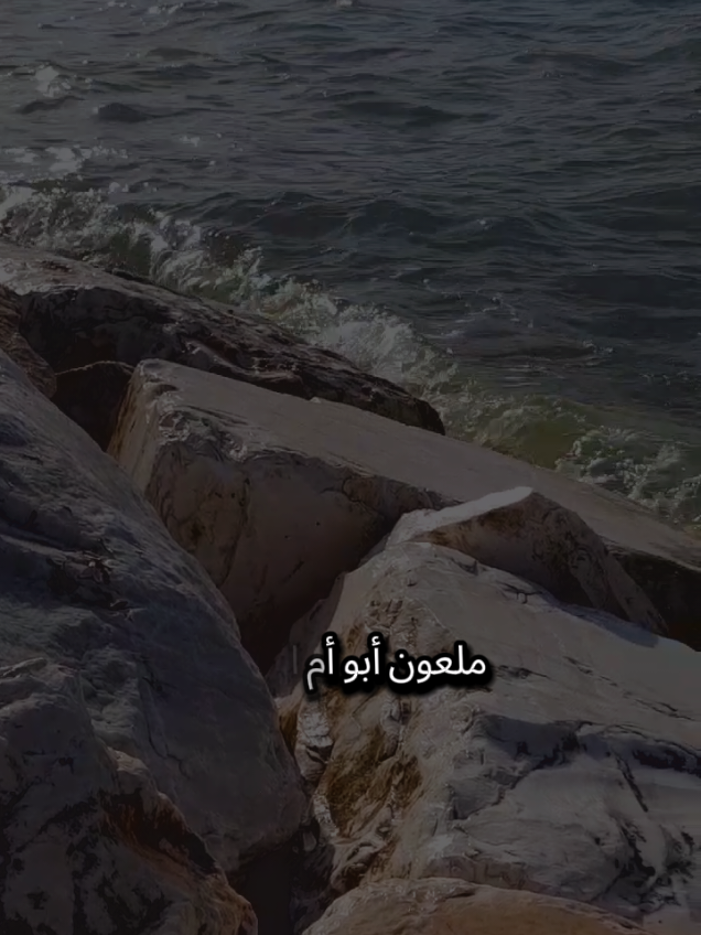 ملعون أبو أم الغربة اللي خليتنا نتعرف على ناس البهايم ما ترضاش تسكن معاهم #تركيا #اسطنبول #الغربة #مغترب #شعروقصايد 