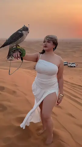 habibi come to Dubai 🇦🇪  #dubai🇦🇪 #desertsafari #dubai_dxb_uae #Dubaitour #foryoupage❤️❤️ 