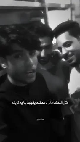بحيل الشجره يفرهد غصنك ما اخلي #مرتضى_حرب #تصميمي❤️ #تصميم_فيديوهات🎶🎤🎬 