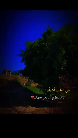 #عباراتكم🥀 #😔💔🥀 #تصويري📷 #تصميم_فيديوهات🎶🎤🎬 #تصويري📷احترافي_الاجواء👌🏻🕊😴 #تصوير_ايفون #المصمم_حسوني🚸🔕 #ابـو_هـلاك 