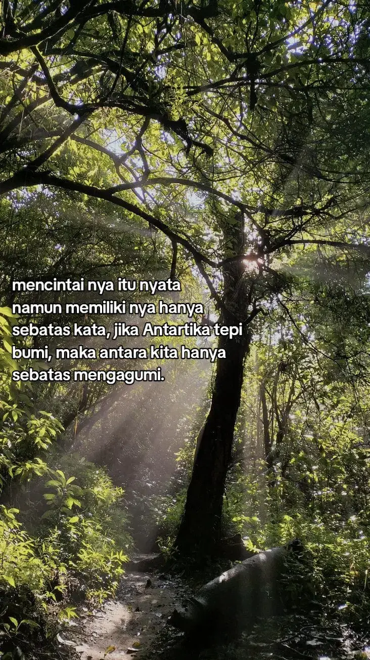 Berikut adalah cara membuat es teh yang segar:  📝Bahan - 2 kantong teh celup - 200 ml air panas - Es batu - Gula pasir atau pemanis lainnya (opsional) - Lemon atau jeruk nipis (opsional) Cara membuat: 1. Seduh teh celup dalam air panas selama beberapa menit. 2. Angkat kantong teh dan biarkan dingin. 3. Tambahkan gula pasir atau pemanis lainnya secukupnya, aduk rata. 4. Masukkan es batu ke dalam gelas. 5. Tuang teh yang sudah dingin ke dalam gelas berisi es batu. 6. Tambahkan perasan lemon atau jeruk nipis jika suka. 7. Sajikan es teh segar dan nikmati! Tips: - Sesuaikan kekuatan teh dengan waktu penyeduhan. - Bisa menambahkan buah-buahan segar seperti lemon, jeruk, atau buah lainnya untuk variasi rasa. - Es teh siap disajikan dan dinikmati! Selamat mencoba!#foryoupage #fypppppppppppppp #masukberandafyp #fypage 