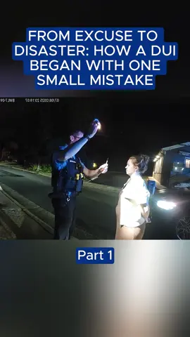 PART 1 #fyp #cops #police