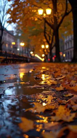 #creatorsearchinsights #fypageシ #fyp #viral 