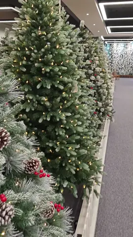 Many Christmas trees#christmas #christmastree #Xmas #decoration #christmasdecor 