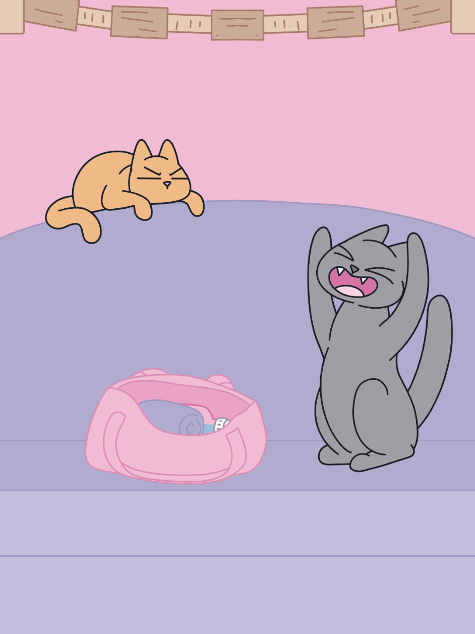 ¿Qué hace tu michi cuando ve una mochila abierta? 🤭 . #catlover #gatosentiktok #catlovers #gatodeldia #cosadegatos 