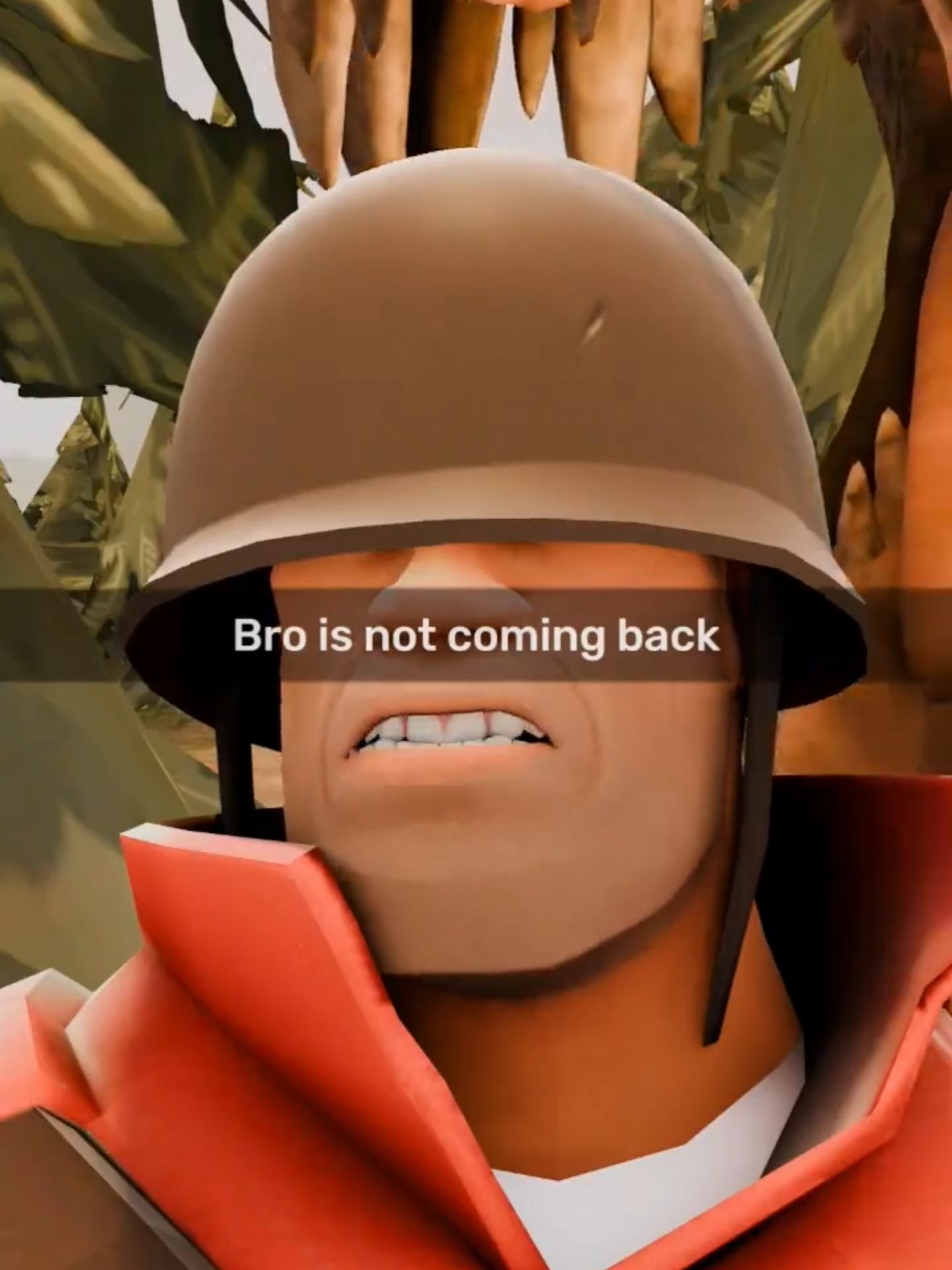 he is Looking at Wrong Dinosaur #valve #tf2 #teamfortress2 #valvememes #tf2memes #teamfortress2memes #sfm #sfmanimation #sourcefilmmaker #tf2soldier