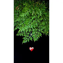 Koi supna bn ky mil ja akhan udeek diyan ne ratan nu 😩❤️‍🩹 #foryou #pindaaly #میراسوناپنجاب @TiktokPakistanOfficial 