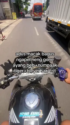 😭 #tigergank #xybca 