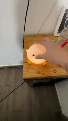 Patito hermoso 