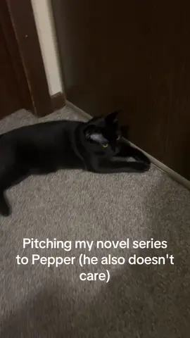 Won't someone listen to me #catsoftiktok #urbanfantasy #quirkybooks #yafantasy #BookTok 