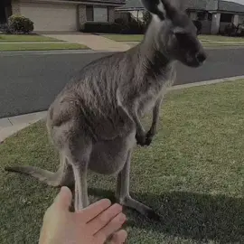 Love Saar🥺😩💔 #writer_muscab  #foryoupage  #viesxumo 