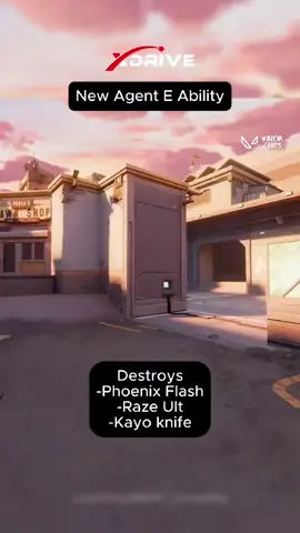 New Agent E Ability Destroys -Phoenix Flash -Raze Ult -Kayo knife