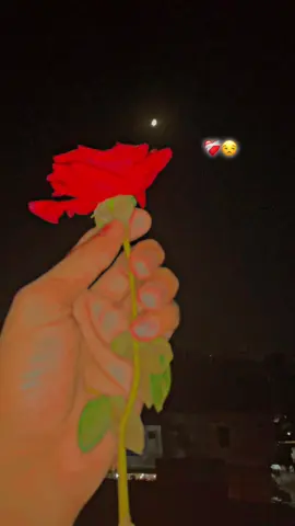 مجھے اوس کا ہر حکم منظور ہے وہ جان جو ہے میری۔❤️‍🩹😒۔؀