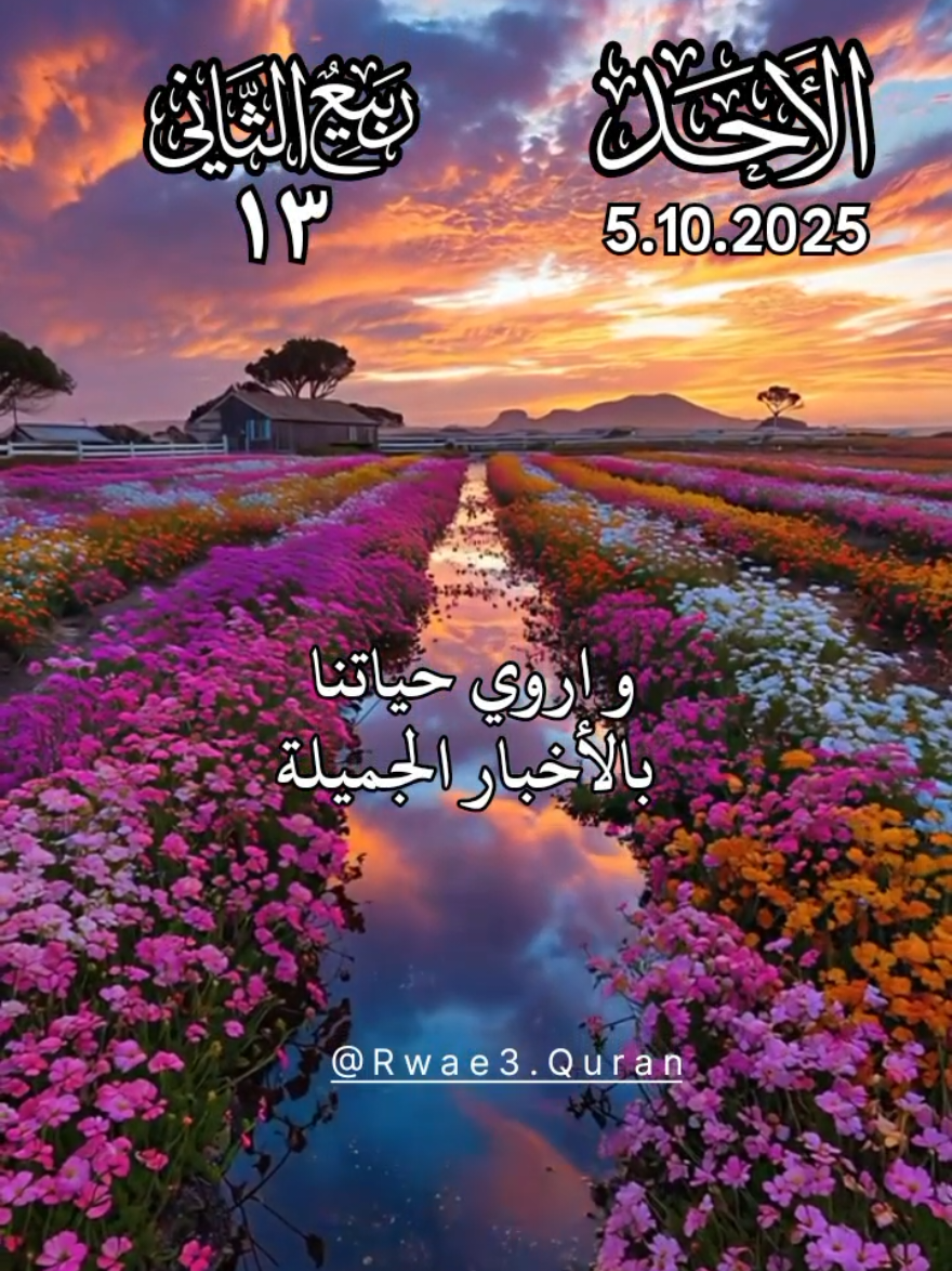 دعاء يوم الاحد 🤲♥️ افضل ادعية و حالات و ستوريات يوم الاحد جديد 2025 🤲♥️ #دعاء_يوم_الاحد #ادعية  #حالات_واتس #صباح_الخير  #اللهم_امين_يارب_العالمين 