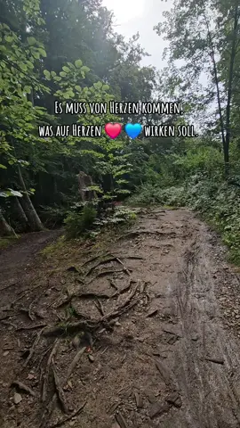 Einfach mal machen, könnte ja gut werden.!!! Mit Mut fangen die schönsten Geschichten an.!!! #wandern #fürdich #leben #liebe #glücklich 