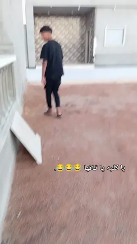 @اســـامــه ال زوي🖤. عادي عادي 😂😂👍🏼.  #امحيور #شيخي #امحيور،معروف،وانت،عارف🤯✌🏽 #اكسبلور #كمل_الفيديو_للاخير 