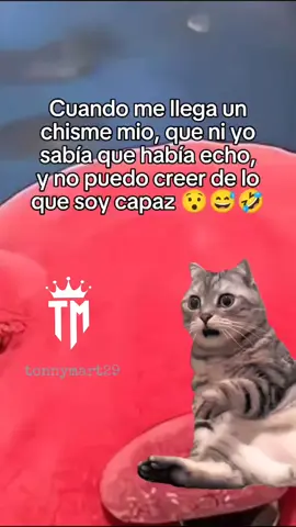 #Meme #MemeCut #CapCut #meme ..