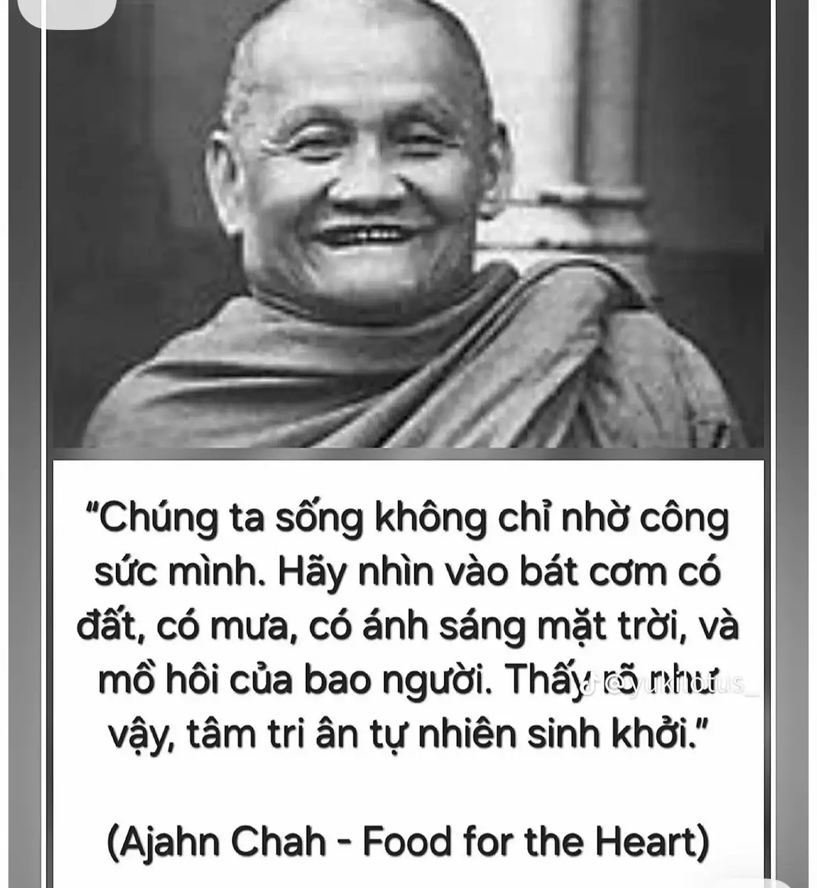 Hãy nhìn rõ mọi việc để tâm tri ân được sinh khởi #thiensuajahnchah #botat #phapmonniemphat #tinhdo #ducphat 