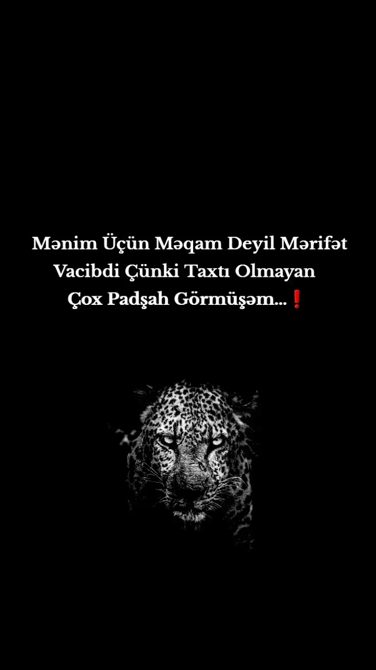 - Mənim Üçün Mərifəti Olmayan Məqam Sahibi Ola Bilməz...❗️#17.memmedow #kesfet #fyp #viral #tiktok 