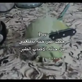 #مالي_خلق_احط_هاشتاقات🧢 #الشعب_الصيني_ماله_حل😂😂 #رياكشن_اسراء 