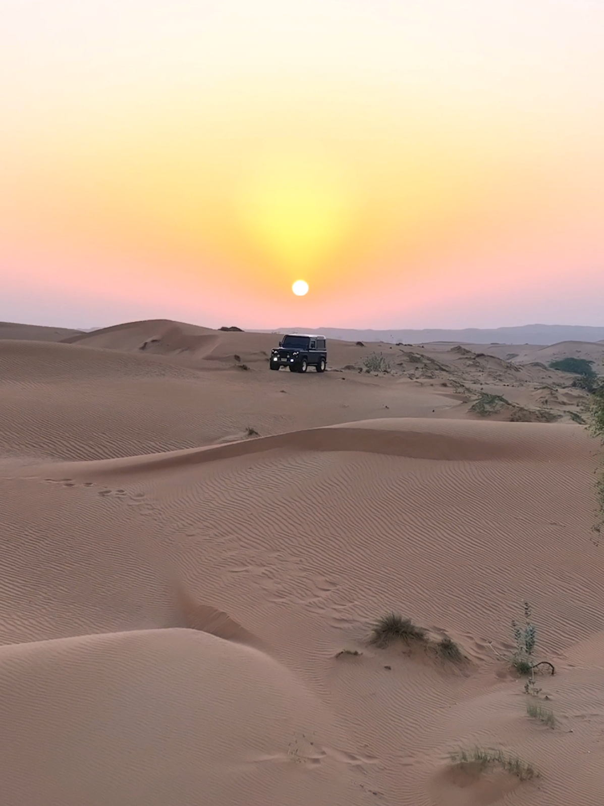 #ميحد_حمد #الامارات #قطر #السعودية #الكويت 