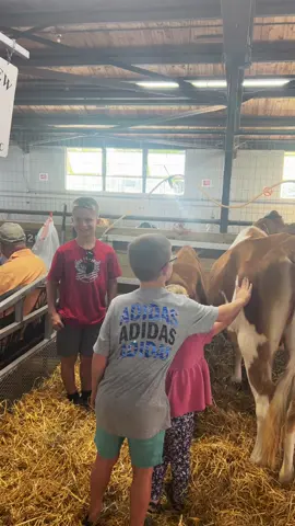 Happy kids Happy Cows #fair#cows#kids