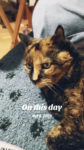 #onthisday