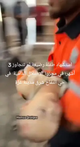 #palestina  #فلسطين_حرة  #palestineفلسطين 