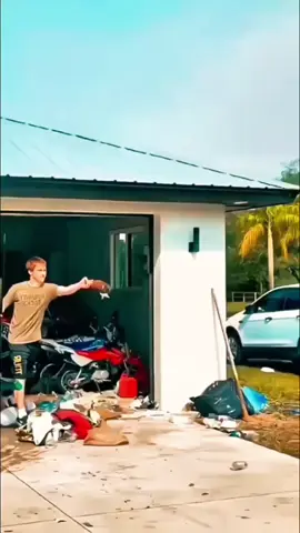 #yonovineaquiapelea #minibeast #minicooper #depatadeperro #minifranklequin 