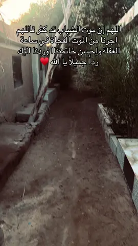 #fyp #الهم_صلي_على_محمد_وأل_محمد #الهم_ارحم_امواتناواموات_المسلمين_اجمعين🤲 