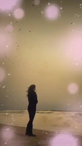 #music #ballad #creatorsearchinsights #moonlight  BENEATH THE MOONLIGHT.